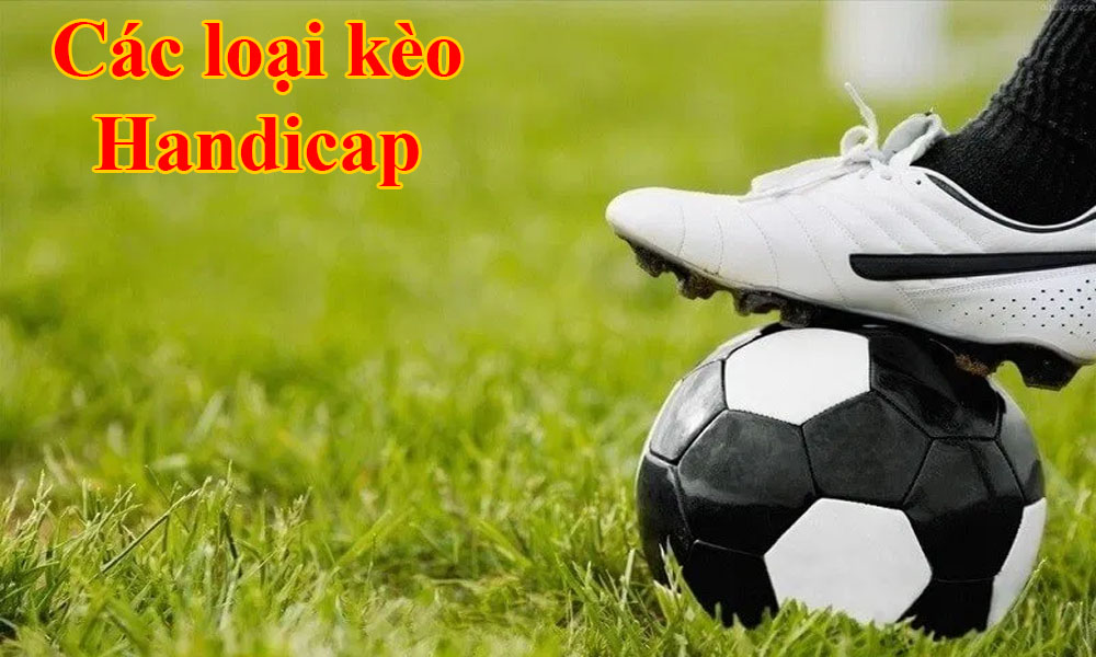 Cac loai keo handicap pho bien tai K8