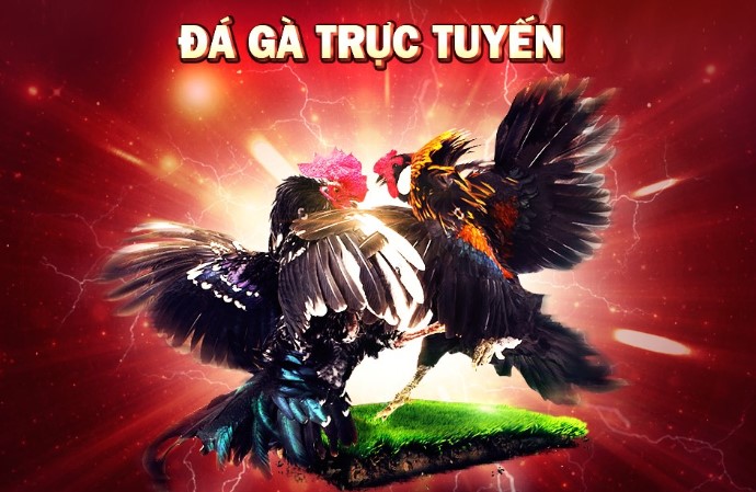 Da ga truc tuyen la gi?